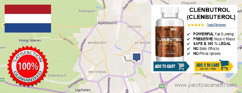 Purchase Clenbuterol Steroids online Apeldoorn, Netherlands