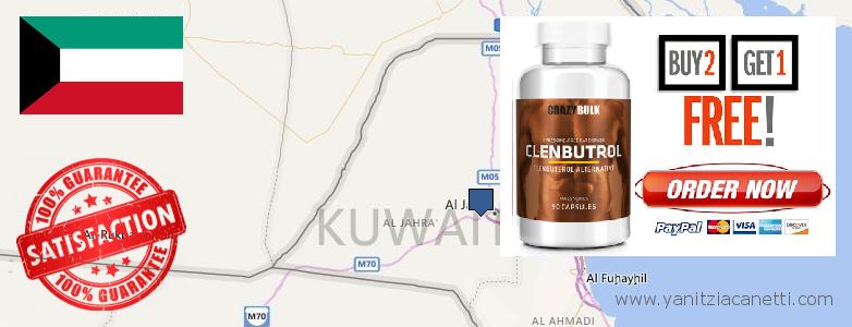 Purchase Clenbuterol Steroids online Ar Rumaythiyah, Kuwait