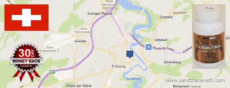 Dove acquistare Clenbuterol Steroids in linea Fribourg, Switzerland