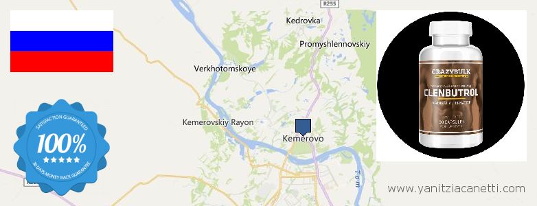 Где купить Clenbuterol Steroids онлайн Kemerovo, Russia