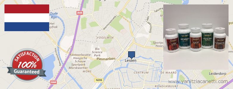 Where to Buy Clenbuterol Steroids online Leiden, Netherlands