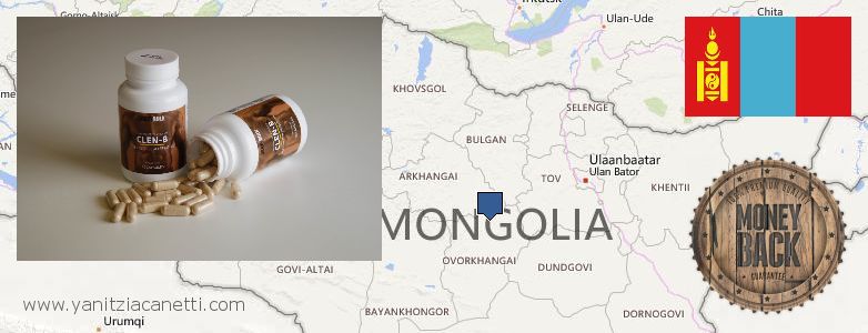 Где купить Clenbuterol Steroids онлайн Mongolia