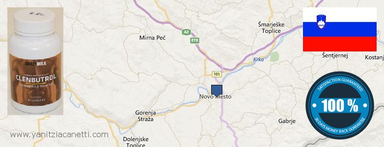 Dove acquistare Clenbuterol Steroids in linea Novo Mesto, Slovenia