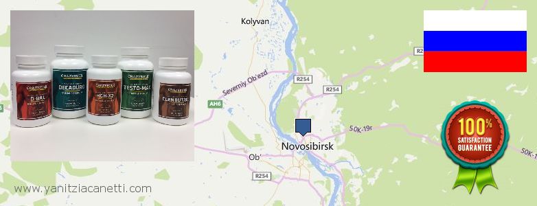 Где купить Clenbuterol Steroids онлайн Novosibirsk, Russia