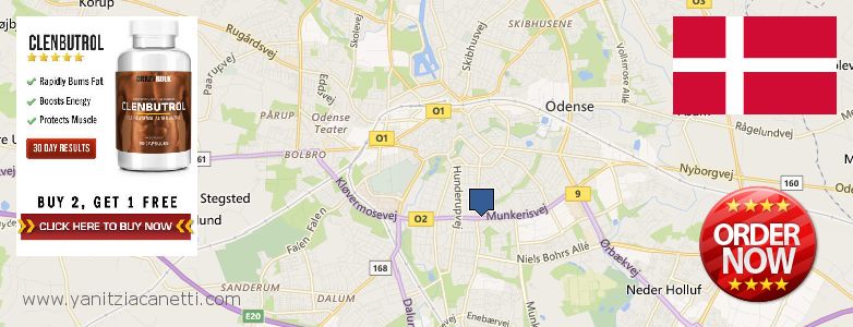 Hvor kan jeg købe Clenbuterol Steroids online Odense, Denmark