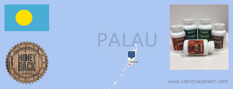 Purchase Clenbuterol Steroids online Palau