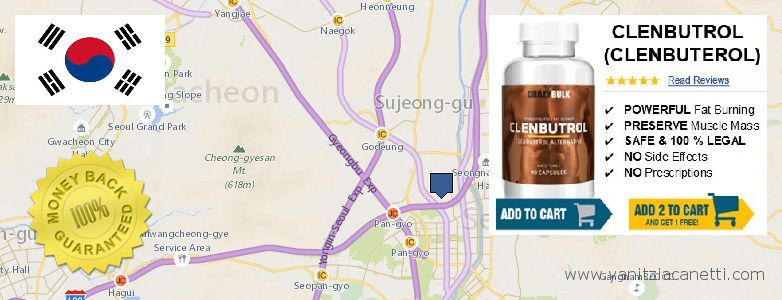 Where to Buy Clenbuterol Steroids online Seongnam-si, South Korea
