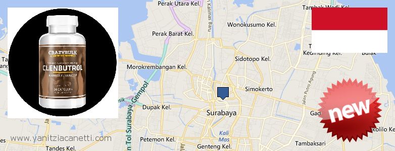 Where Can I Buy Clenbuterol Steroids online Surabaya, Indonesia