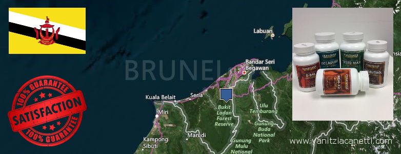 Gdzie kupić Deca Durabolin w Internecie Brunei