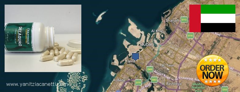 Where to Buy Deca Durabolin online Dubai, United Arab Emirates