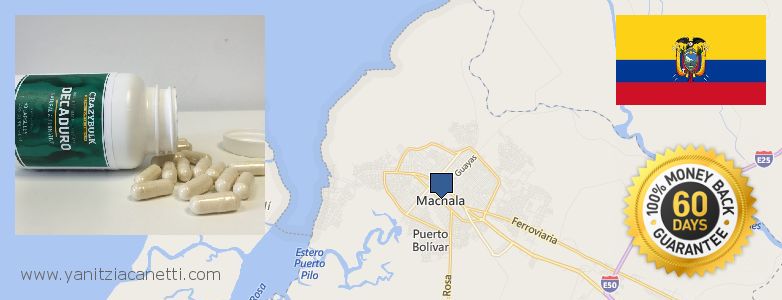 Where to Buy Deca Durabolin online Machala, Ecuador