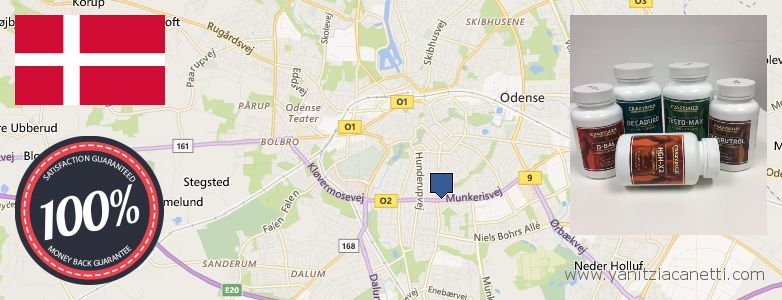 Wo kaufen Deca Durabolin online Odense, Denmark