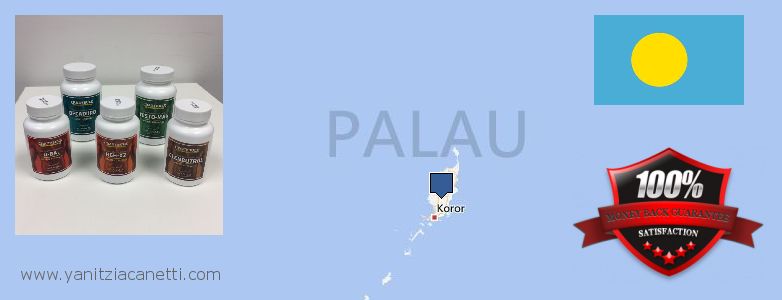 Purchase Deca Durabolin online Palau Where to Buy Deca Durabolin online Palau