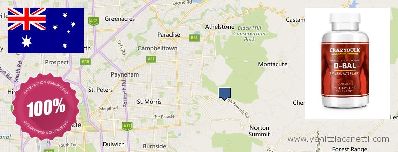 Πού να αγοράσετε Dianabol Steroids σε απευθείας σύνδεση Adelaide Hills, Australia