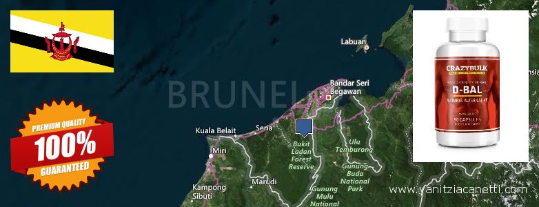 Dove acquistare Dianabol Steroids in linea Brunei