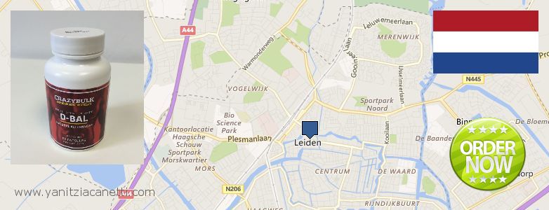Waar te koop Dianabol Steroids online Leiden, Netherlands