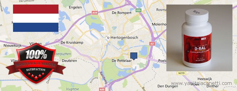 Where to Purchase Dianabol Steroids online s-Hertogenbosch, Netherlands