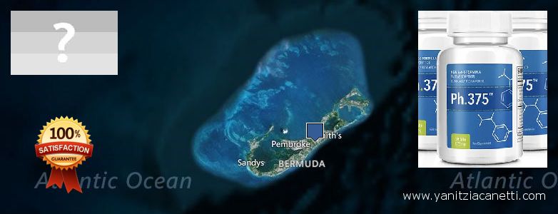 Где купить Phen375 онлайн Bermuda