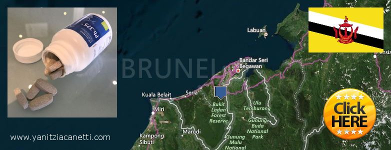 어디에서 구입하는 방법 Phen375 온라인으로 Brunei