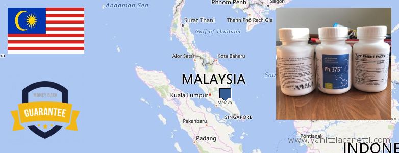 어디에서 구입하는 방법 Phen375 온라인으로 Malaysia