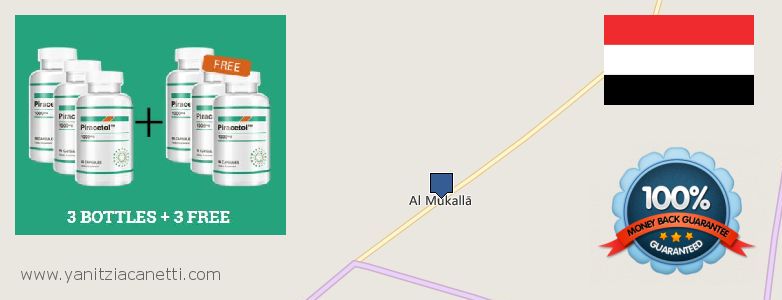 Where to Buy Piracetam online Al Mukalla, Yemen