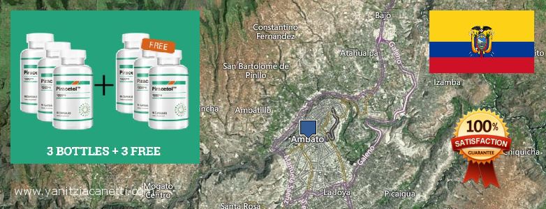 Where to Buy Piracetam online Ambato, Ecuador