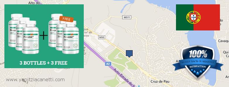 Where to Buy Piracetam online Amora, Portugal