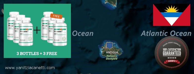 Where Can I Buy Piracetam online Antigua and Barbuda