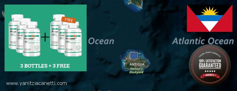 Où Acheter Piracetam en ligne Antigua and Barbuda