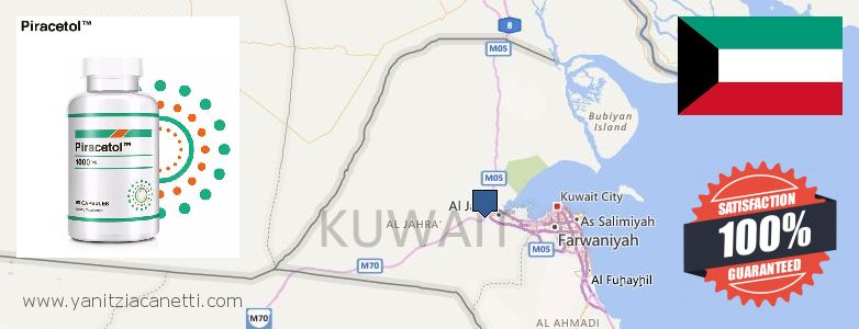 Where to Purchase Piracetam online Ar Rumaythiyah, Kuwait