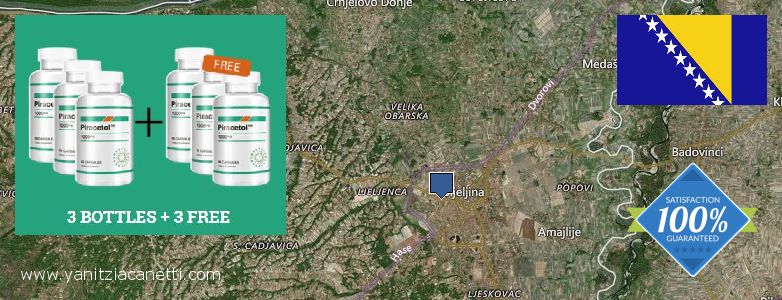 Where Can I Buy Piracetam online Bijeljina, Bosnia and Herzegovina