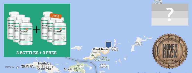 Où Acheter Piracetam en ligne British Virgin Islands