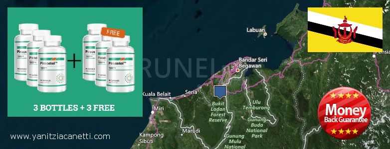Gdzie kupić Piracetam w Internecie Brunei