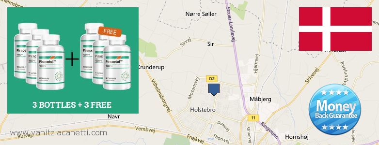 Where to Buy Piracetam online Holstebro, Denmark