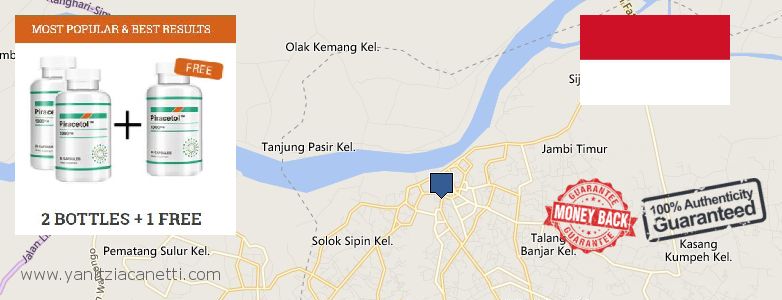 Where to Purchase Piracetam online Jambi City, Indonesia