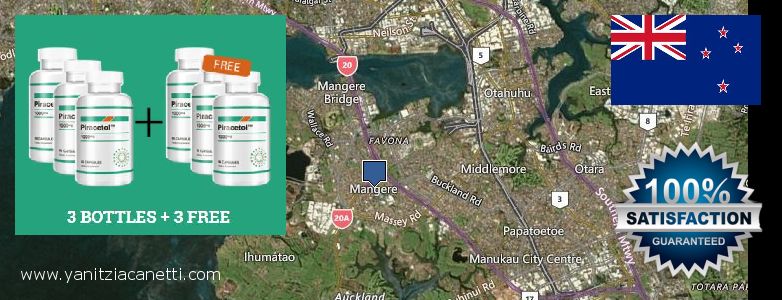 Where to Buy Piracetam online Mangere, New Zealand