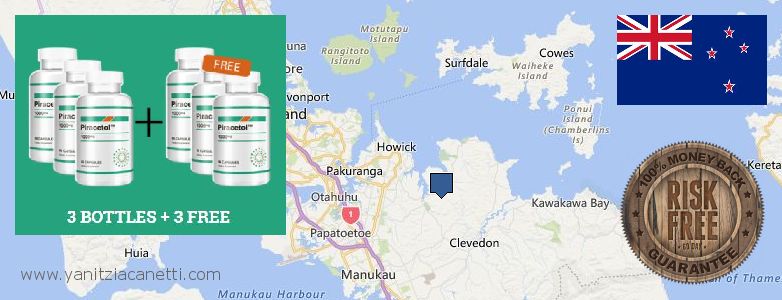 Where to Buy Piracetam online Manukau City, New Zealand