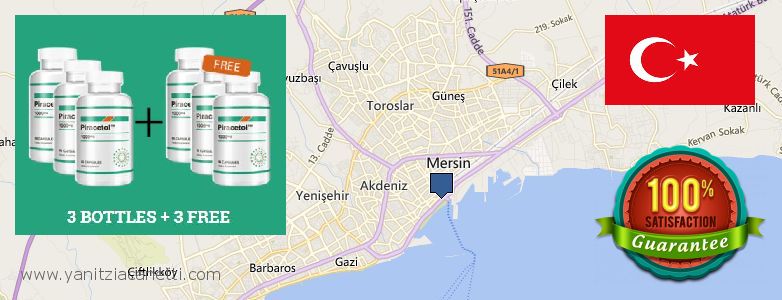 Where Can I Buy Piracetam online Mercin, Turkey