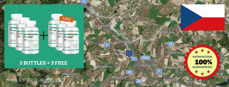 Where to Buy Piracetam online Opava, Czech Republic