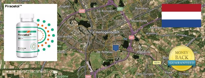 Where to Buy Piracetam online s-Hertogenbosch, Netherlands