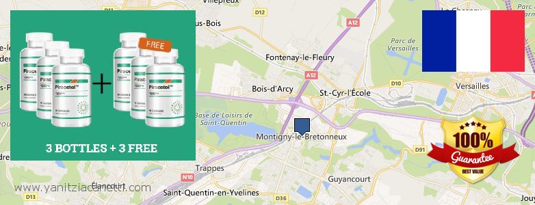 Best Place to Buy Piracetam online Saint-Quentin-en-Yvelines, France