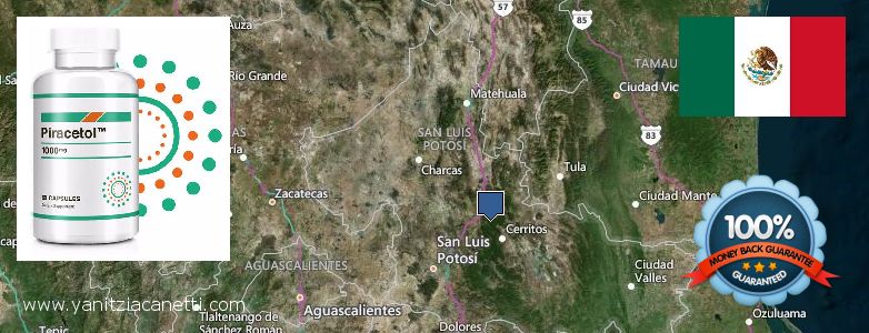 Where to Purchase Piracetam online San Luis Potosi, Mexico