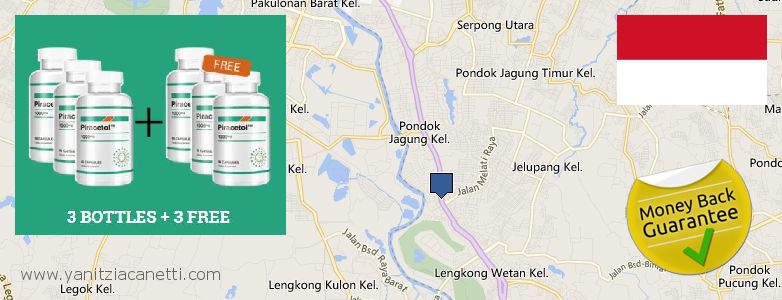 Where to Buy Piracetam online South Tangerang, Indonesia