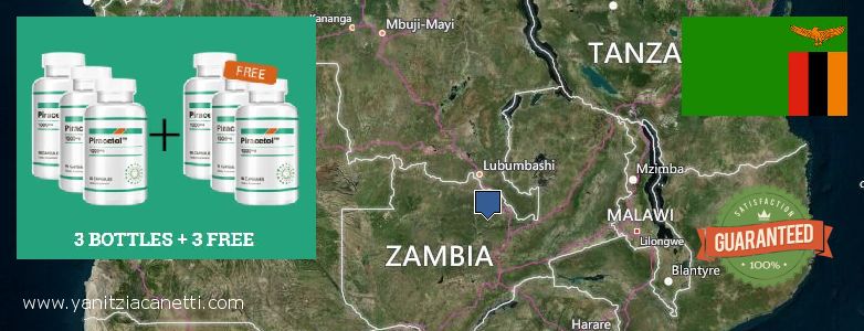 Gdzie kupić Piracetam w Internecie Zambia