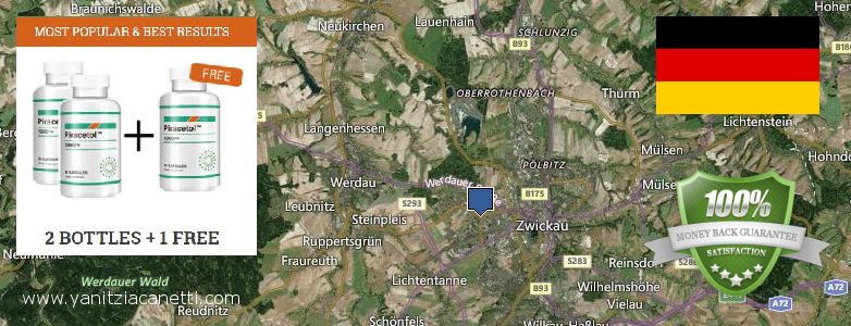 Where Can You Buy Piracetam online Zwickau, Germany