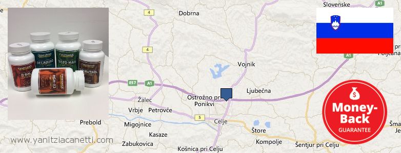 Where to Buy Winstrol Steroids online Celje, Slovenia