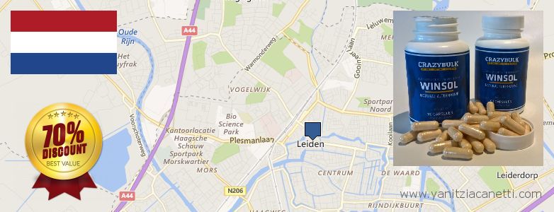 Where to Buy Winstrol Steroids online Leiden, Netherlands