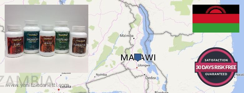 Где купить Winstrol Steroids онлайн Malawi