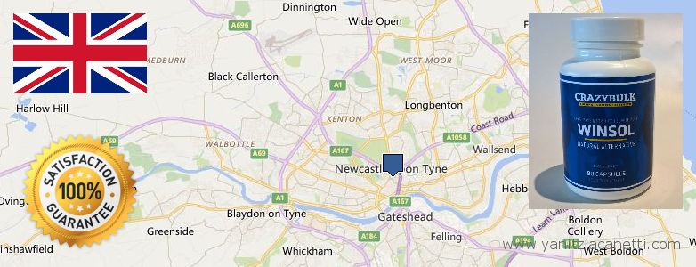 Dónde comprar Winstrol Steroids en linea Newcastle upon Tyne, UK