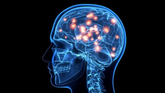 Where to Buy Piracetam Nootropil Alternative in Bengaluru